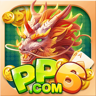 pp6 Logo
